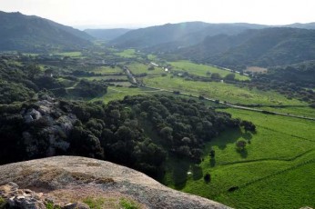 Entroterra in Loc. San Giorgio, Palau