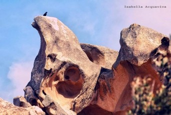 Il vento modella le rocce6