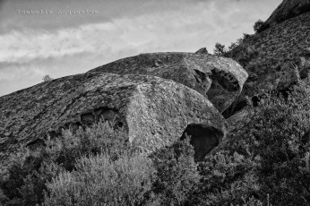 Il vento modella le rocce8